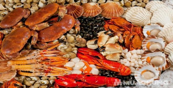 Ảnh số 6 Ẩm thực Hạ Long Nguồn http www quangninh gov vn vi 6