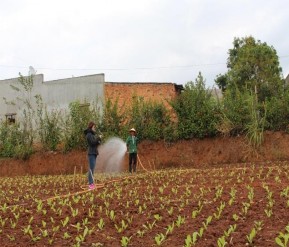 Lai cho CDDP ung ho viec phat trien du 132 2 00 5 00 4 5152 64778 lich tai DP Valid N listwise 132 11