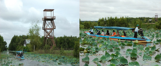Vườn quốc gia Tràm Chim Tràm Chim mùa nước nổi Hoàng hôn Tràm Chim Tràm Chim nhìn 1