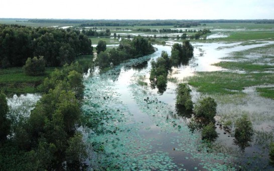 Tràm Chim nhìn từ trên cao 4