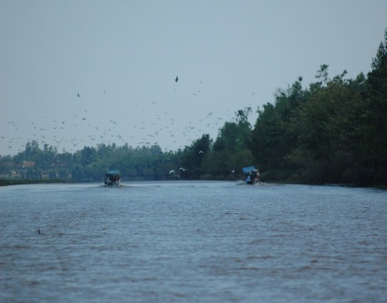 Gia Tràm Chim Tràm Chim mùa nước nổi Hoàng hôn Tràm Chim Tràm Chim nhìn từ trên cao 5