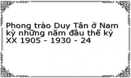 Phong trào Duy Tân ở Nam kỳ những năm đầu thế kỷ XX 1905 - 1930 - 24