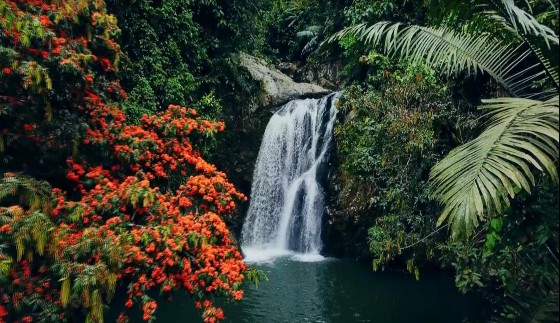 Hình ảnh Khu du lịch sinh thái Cổng Trời Đông Giang 11