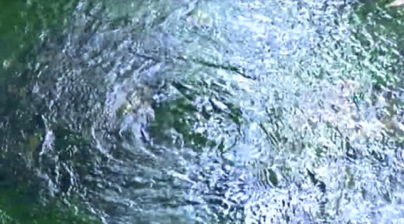 Hình ảnh Thác nước APăng Hình ảnh Thác A Păng Hình ảnh Suối nước khoáng nóng 6