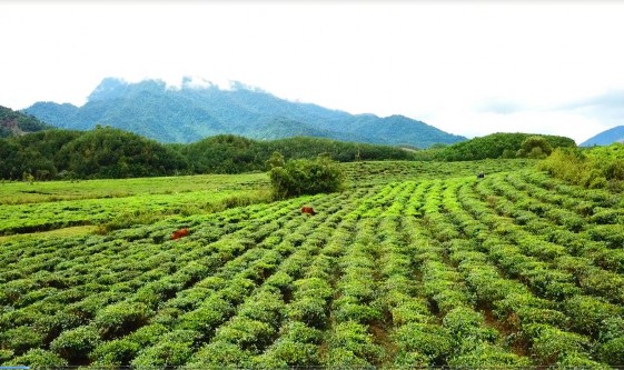 Hình ảnh Cổng trời của Khu du lịch sinh thái Cổng Trời – Đông Giang Hình ảnh 9