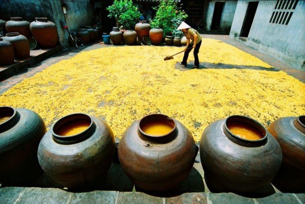 Nghề làm tương Cổng Làng Mông Phụ Đình Mông Phụ 13