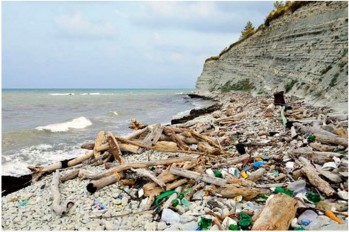 Hình 1 2 Rác thải ven bờ biển ở Đồ Sơn Nguồn Tác giả tổng hợp Đã có 1