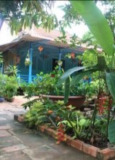 Dịch vụ ẩm thực trong nhà cổ Sân vườn nhà sàn cổ kinh doanh Homestay 13