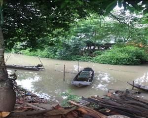 Hình ảnh cảnh quan môi trường trên cù lao Ông Hổ Cồn Phó Ba Rạch Rích Cổng 6