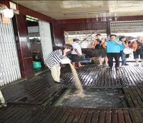 Thu hoạch rau cải Cho cá ăn Thu hoạch hành lá Tưới rau bằng vòi phun sương Chủ 10