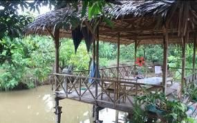 Hình ảnh Vườn sinh thái Ẩm thực Hướng dẫn du khách đổ bánh xèo Đặc sản 11