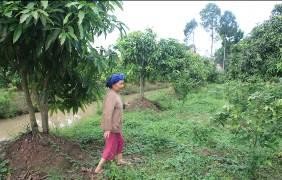 Hình ảnh Vườn sinh thái Ẩm thực Hướng dẫn du khách đổ bánh xèo Đặc sản 12