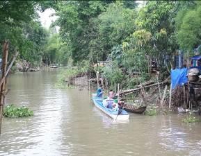 Hình ảnh du lịch sông rạch trên cù lao Ông Hổ Bơi xuồng ra bè cá Tàu đưa 23