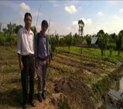 Hình ảnh trải nghiệm nông nghiệp trên cù lao Ông Hổ Thu hoạch rau cải Cho cá 7