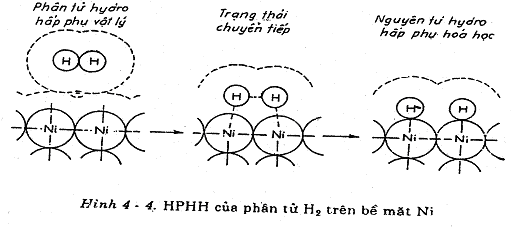 III Phương trình hấp phụ lý tưởng 1 Thế nào là hấp phụ lý tưởng Hấp phụ 2