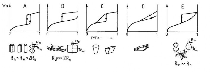 x Mao quản trung bình hình trụ Mao quản trung bình hình lớp hình chai Mao quản trung 1