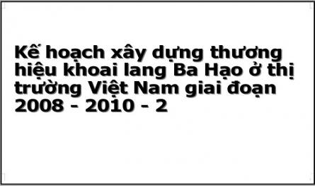 Kế hoạch xây dựng thương hiệu khoai lang Ba Hạo ở thị trường Việt Nam giai đoạn 2008 - 2010 - 2