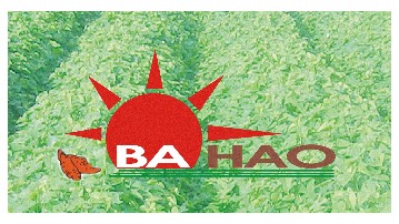 Hình 5 2 Logo do tác giả đề xuất Ý nghĩa Hình ảnh Mặt trời và Đường gạch 2