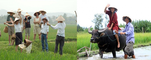 Hình 3 Một số loại hình du lịch tại đây 3