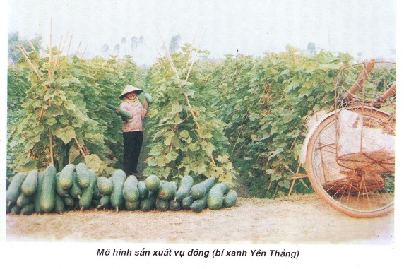 Trích nguồn Lịch sử Đảng bộ huyện Yên Mô 1930 2005 2