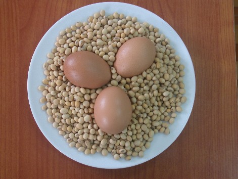 Hình 2 Nguyên liệu sữa bột dịch sữa và tinh bột 2 2 Các quá trình cơ bản 2 2 1 1