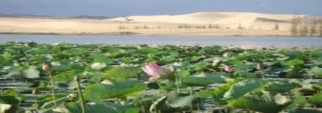 Hình 2 6 Du lịch Bàu Tr ng Hình 2 7 Chùa Núi Tà Cú Hình 2 8 Suối tiên Mũi Né Hình 2 2