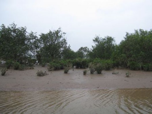 Vùng đất ngập nước huyện Nghĩa Hưng Đây cũng là vùng phát triển nghề đánh 5