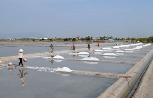 Cánh đồng muối Văn Lý huyện Hải Hậu Trong quá trình đó nếu có trận mưa sẽ 8