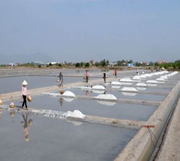 PHẦN MỞ ĐẦU 1 Tính thời sự và lý do chọn đề tài luận văn cao học Trong 1