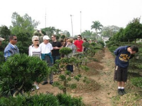 Làng nghề cây cảnh Vị Khê Tháp cửu phẩm liên hoa Chùa Cổ Lễ Nhà lưu niệm 5