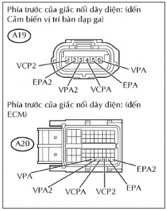 Hình 11 2 Giắc cảm biến bàn đạp ga và ECM Đo điện trở giữa 2 giắc nối 2