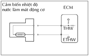 Hình 4 3 Ngắt giắc nối cảm biến nước Bật khoá điện ON Bật máy chẩn đoán 4