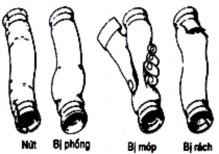 Kiểm tra dây đai Dùng dụng cụ chuyên dùng để kiểm tra độ căng của dây đai 3