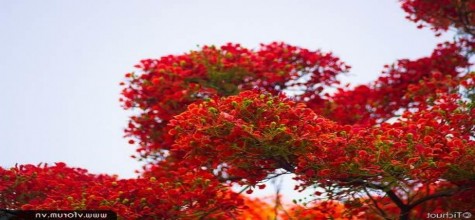 Biểu tượng của Thành Phố Hải Phòng Tượng Đài Nữ Tướng Lê Chân Hòn Dấu 1