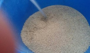 14 15 Xử lý hạt cỏ Ghi nê trước khi gieo Nếu trồng bằng thân rễ thì nên 2