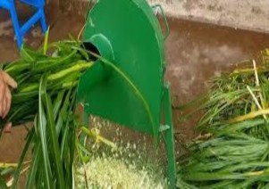 23 Cắt nhỏ thức ăn xanh 24 Nghiền thức ăn hạt 25 Hấp chín thức ăn 1 2 Phương 7