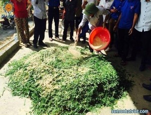 28 29 Chế biến thức ăn bằng phương pháp vi sinh vật Điều kiện cần thiết 1