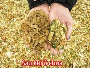 28 29 Chế biến thức ăn bằng phương pháp vi sinh vật Điều kiện cần thiết 2