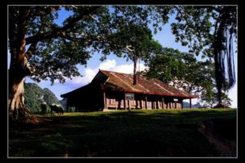 Nhà ở của người Tày Các cô gái Tày Nùng tham gia Lễ hội Báo Slao Phở chua 2