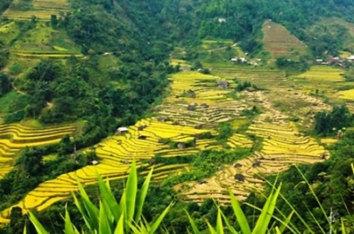 Hình 6 Ruộng bậc thang Hoàng Su Phì Ảnh Nhân Dân Hình 7 Bài đá cổ Nấm Dần Xín 6