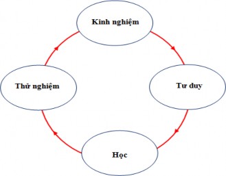 Hình 1 1 Mô hình học tập dựa vào trải nghiệm của David Kolb 1984 Kolb nhấn mạnh 1