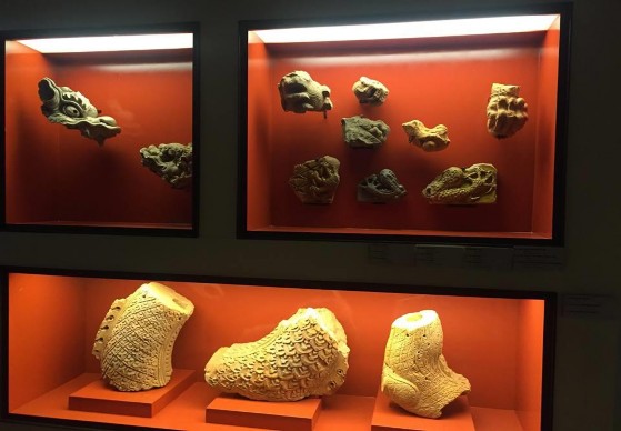 Phòng trưng bày tại khu Hoàng thành Thăng Long Bảo Ngọc Linh Quy trong Hoàng thành 8