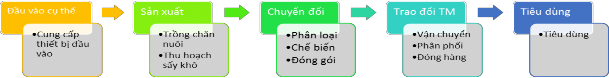 Hình 1 3 Phân đoạn chuỗi giá trị các chức năng Nguồn GTZ 2007 The Methodology of 2