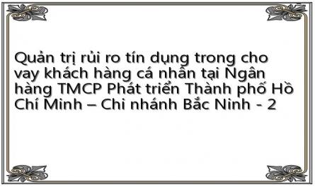 Quản trị rủi ro tín dụng trong cho vay khách hàng cá nhân tại Ngân hàng TMCP Phát triển Thành phố Hồ Chí Minh – Chi nhánh Bắc Ninh - 2
