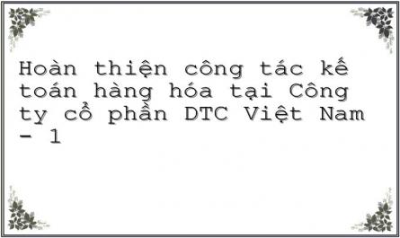 Hoàn thiện công tác kế toán hàng hóa tại Công ty cổ phần DTC Việt Nam - 1