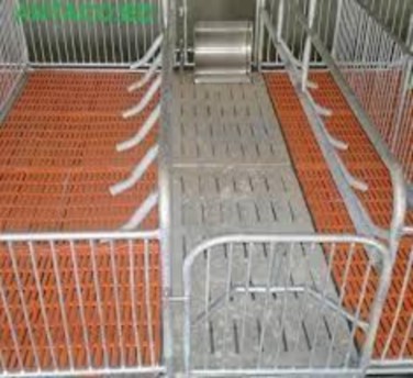 Ô cho lợn mẹ có chiều dài 2 2 2 4m chiều rộng0 6 0 7 cao 1 1 3m Thanh chắn ngang ở 7