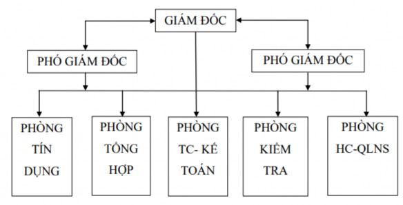 Hình 2 1 Tổ chức bộ máy Chi nhánh NHPT Tuyên Quang Nguồn Phòng Hành chính Quản lý 1