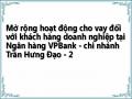 Mở rộng hoạt động cho vay đối với khách hàng doanh nghiệp tại Ngân hàng VPBank - chi nhánh Trần Hưng Đạo - 2