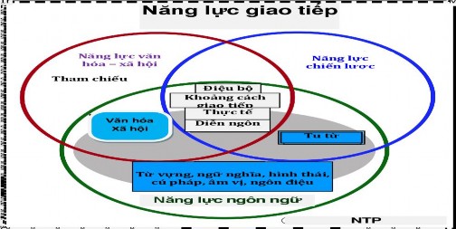 Hình 1 6 Mô hình năng lực giao tiếp theo Guy Trong quá trình nghiên cứu các tài 1
