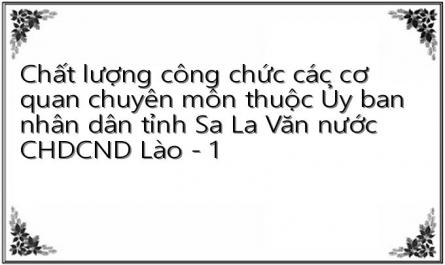 Chất lượng công chức các cơ quan chuyên môn thuộc Ủy ban nhân dân tỉnh Sa La Văn nước CHDCND Lào - 1